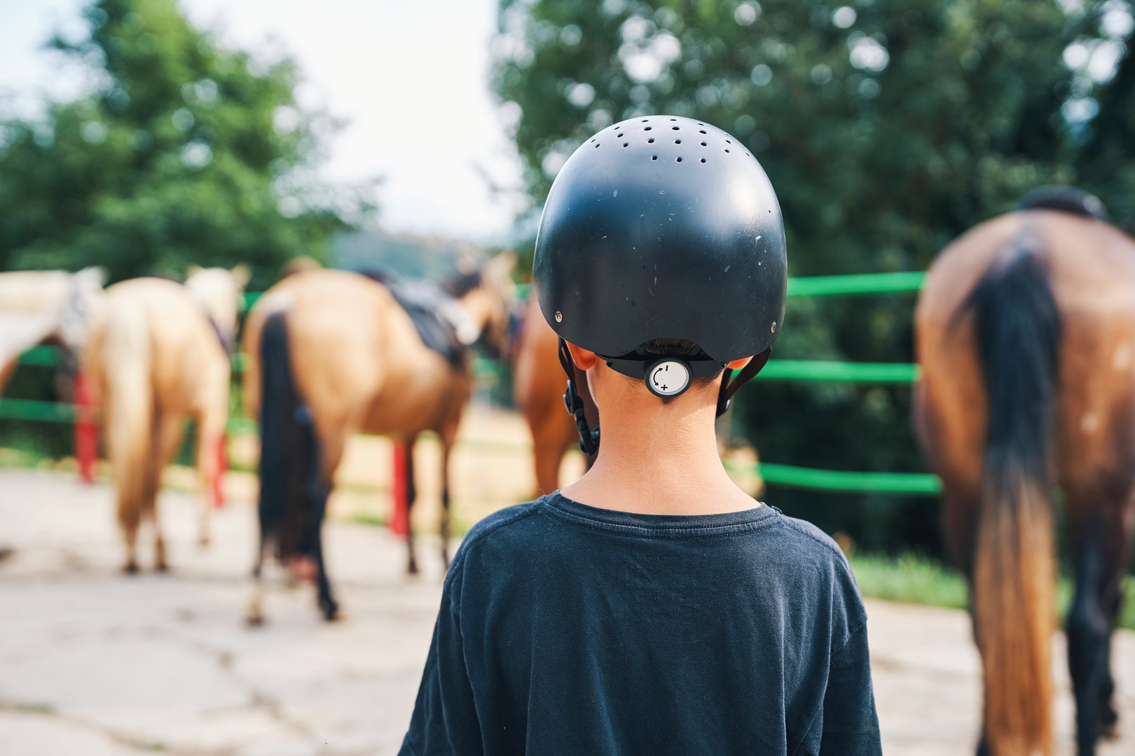 Young boy wearing helmet watching horses at riding school