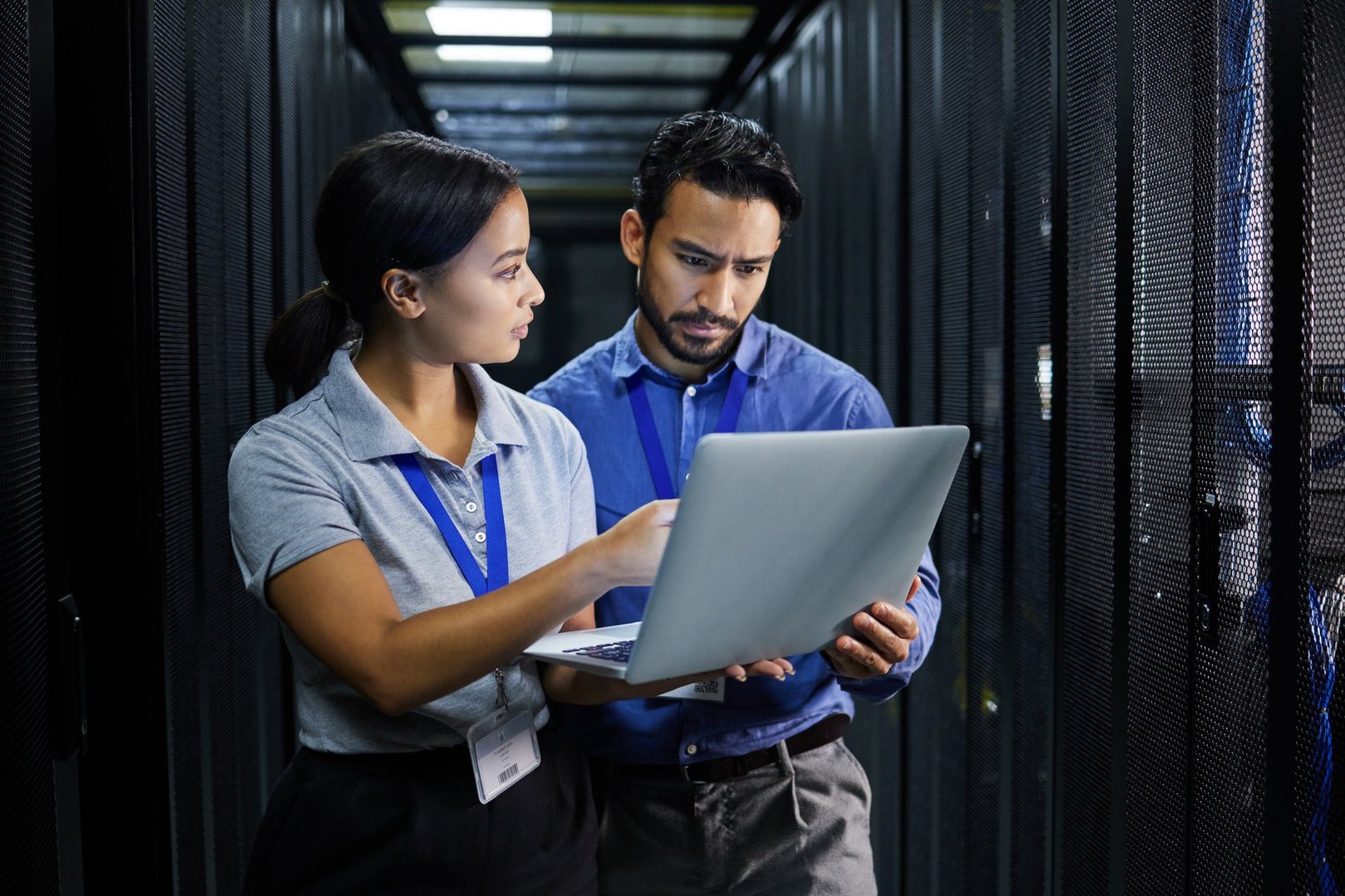 Software Services