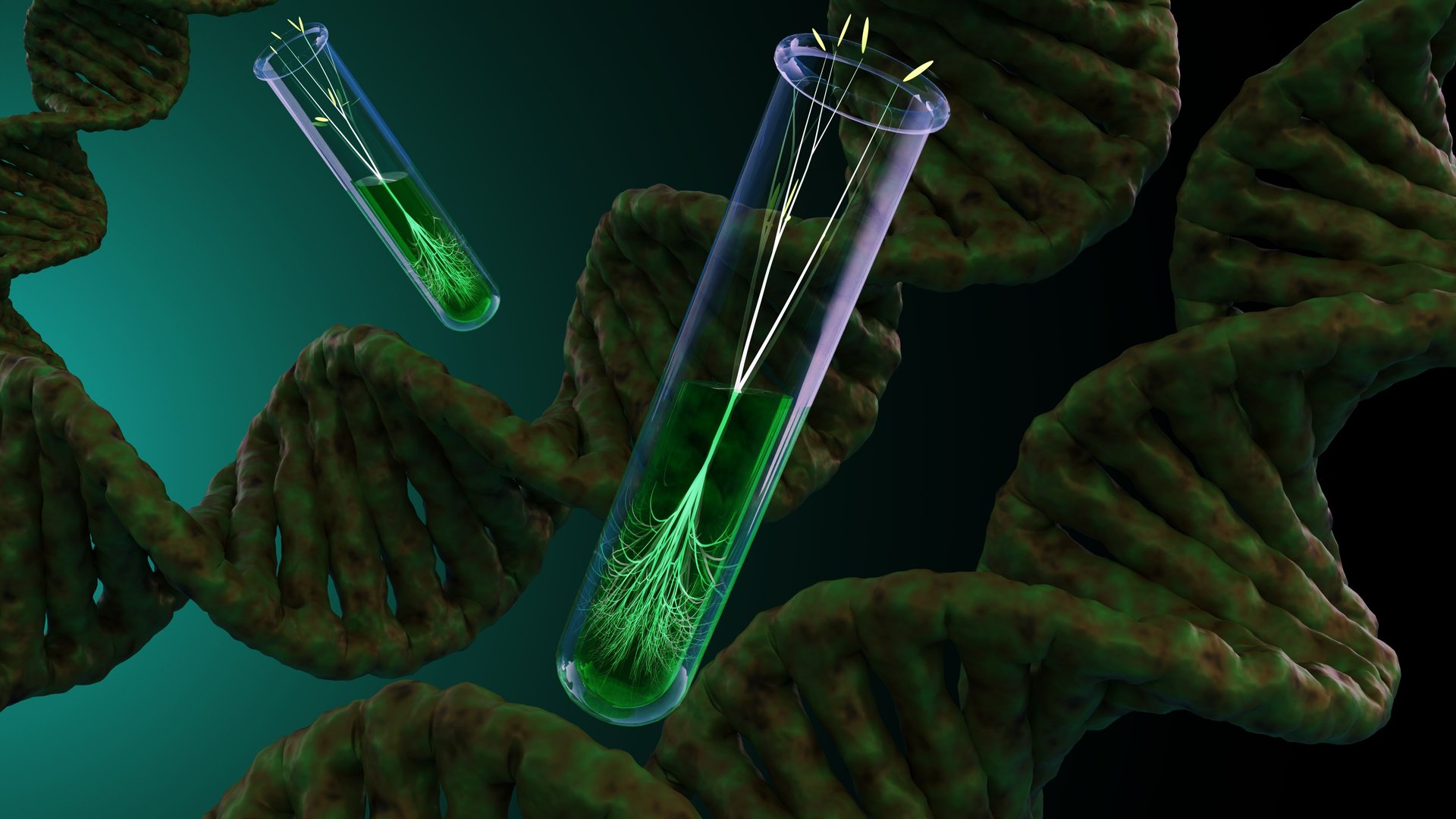3D rendering of plant germination inside a test tube and a close-up of a DNA helix.