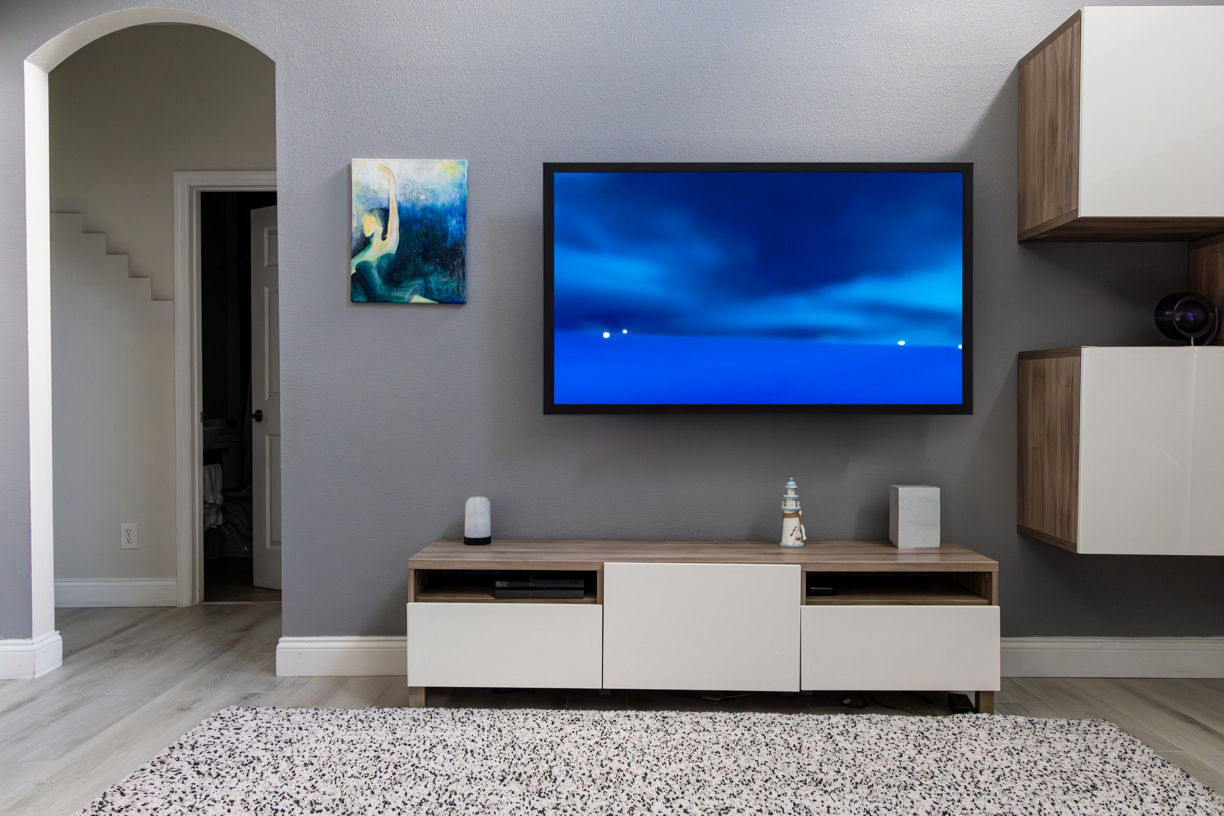 Wall mounted flat panel TV in contemporary living room