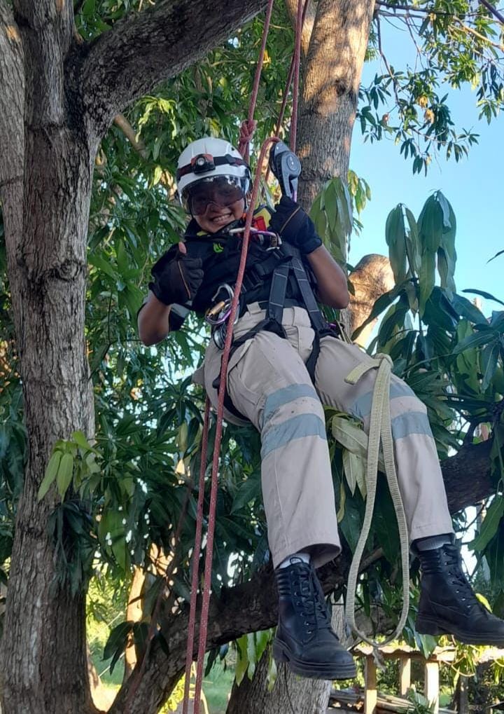 Person wearing safety gear and helmet climbing a tree using ropes and harness, with trees and blue sky in the background.