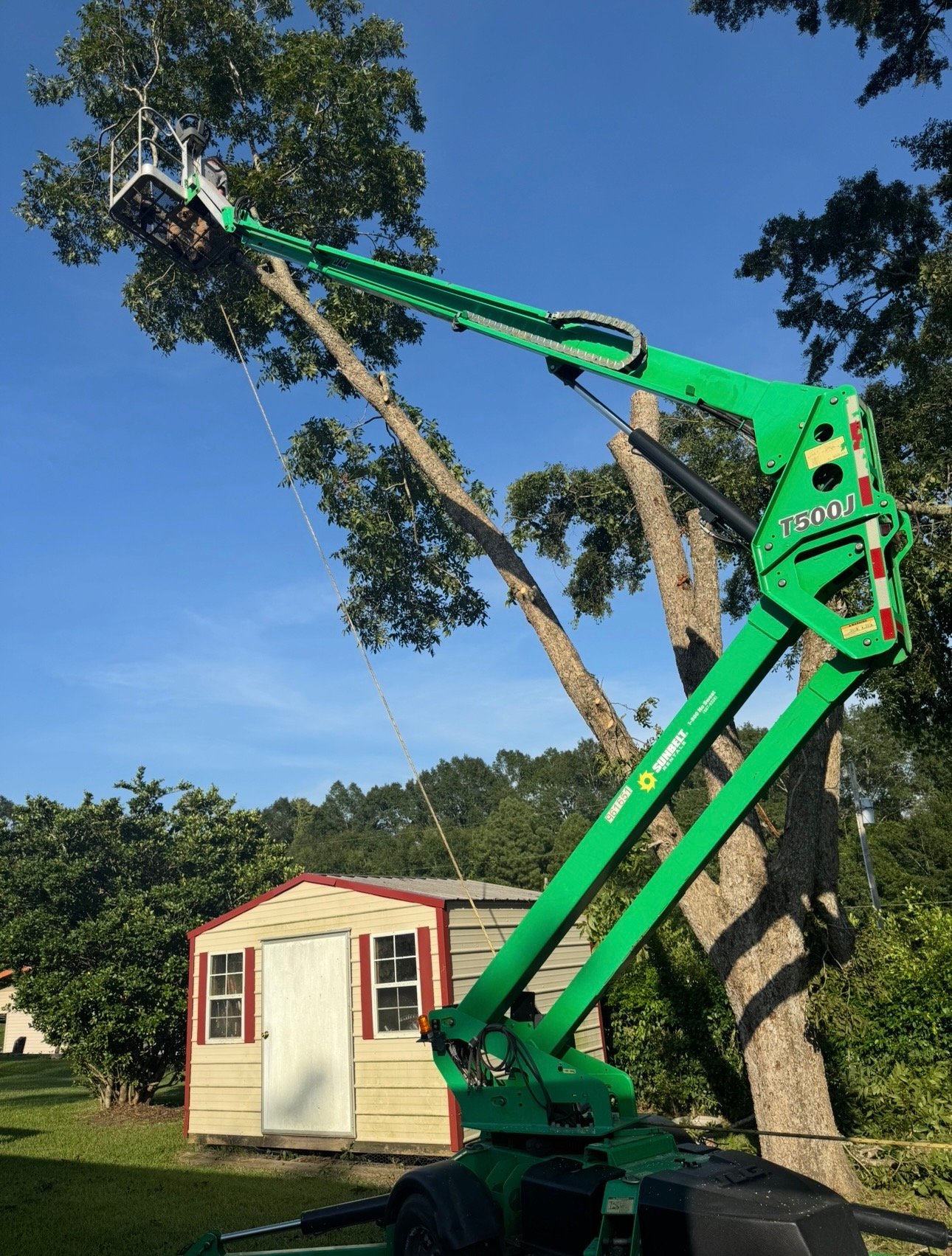 Tree Service
