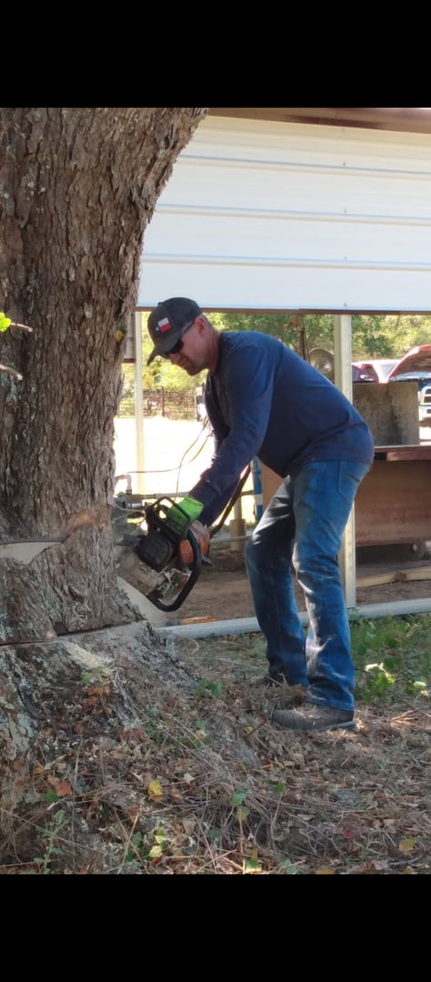 Battalion Tree Service team at work