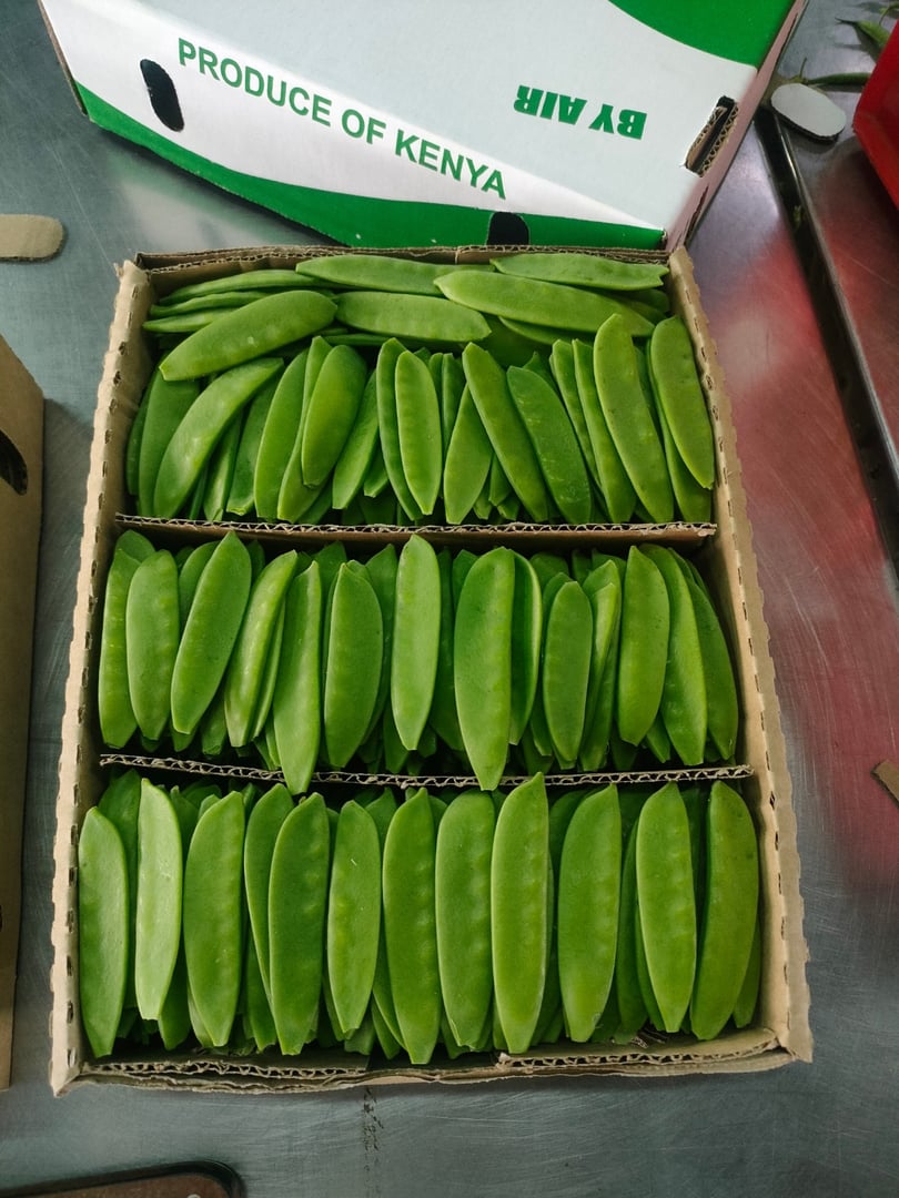 High-performance machines are wrapping food products food in production lines on conveyor belts, food production industry