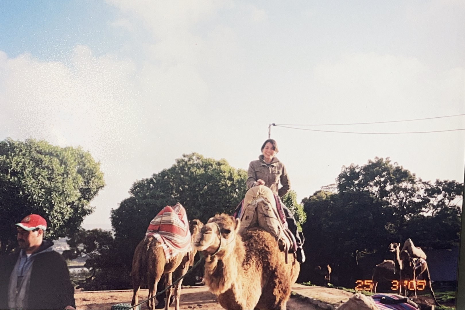 Person riding a camel with a saddle in an outdoor setting, surrounded by trees, and another camel nearby.