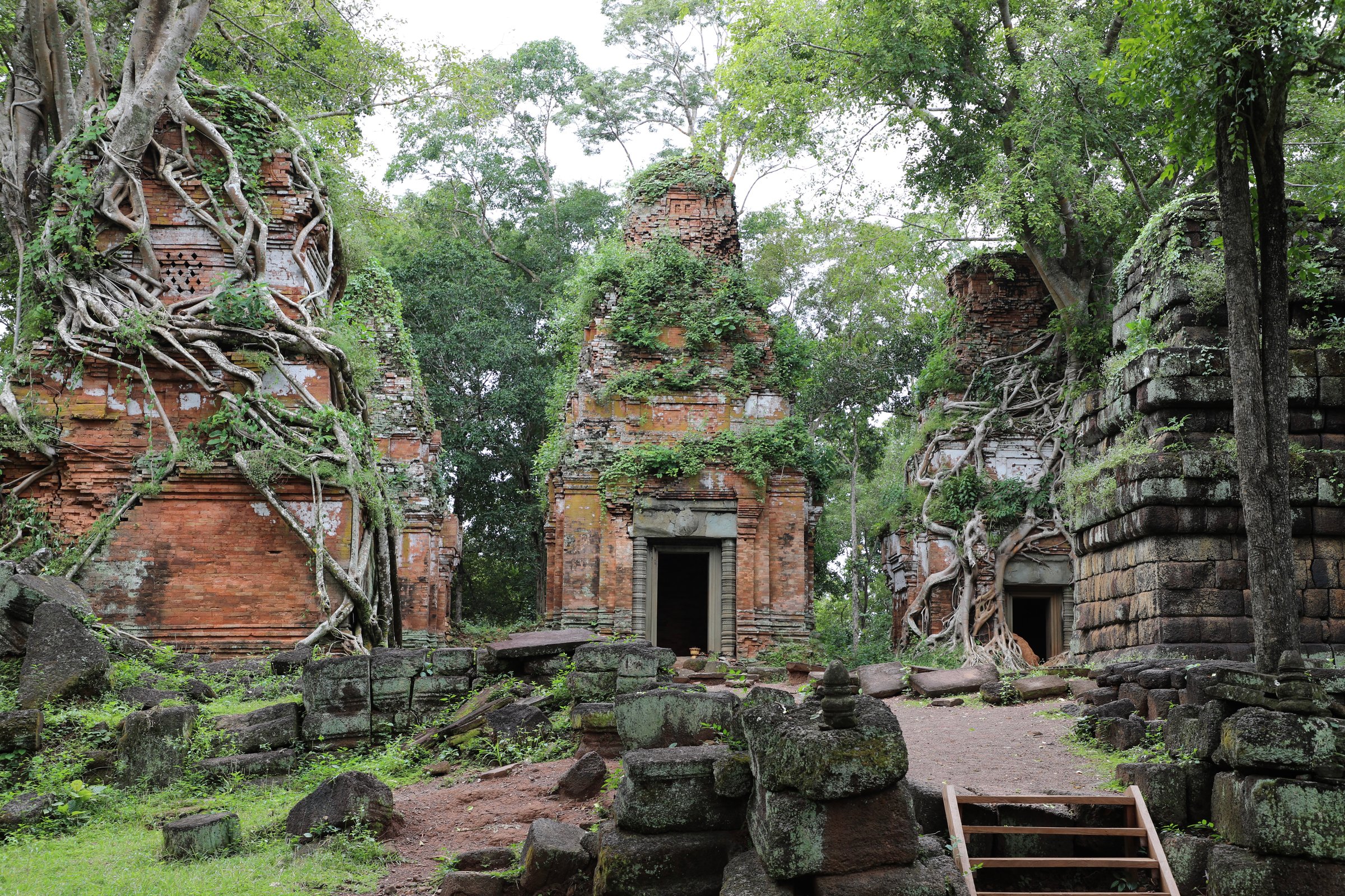 Temple Tour Experience