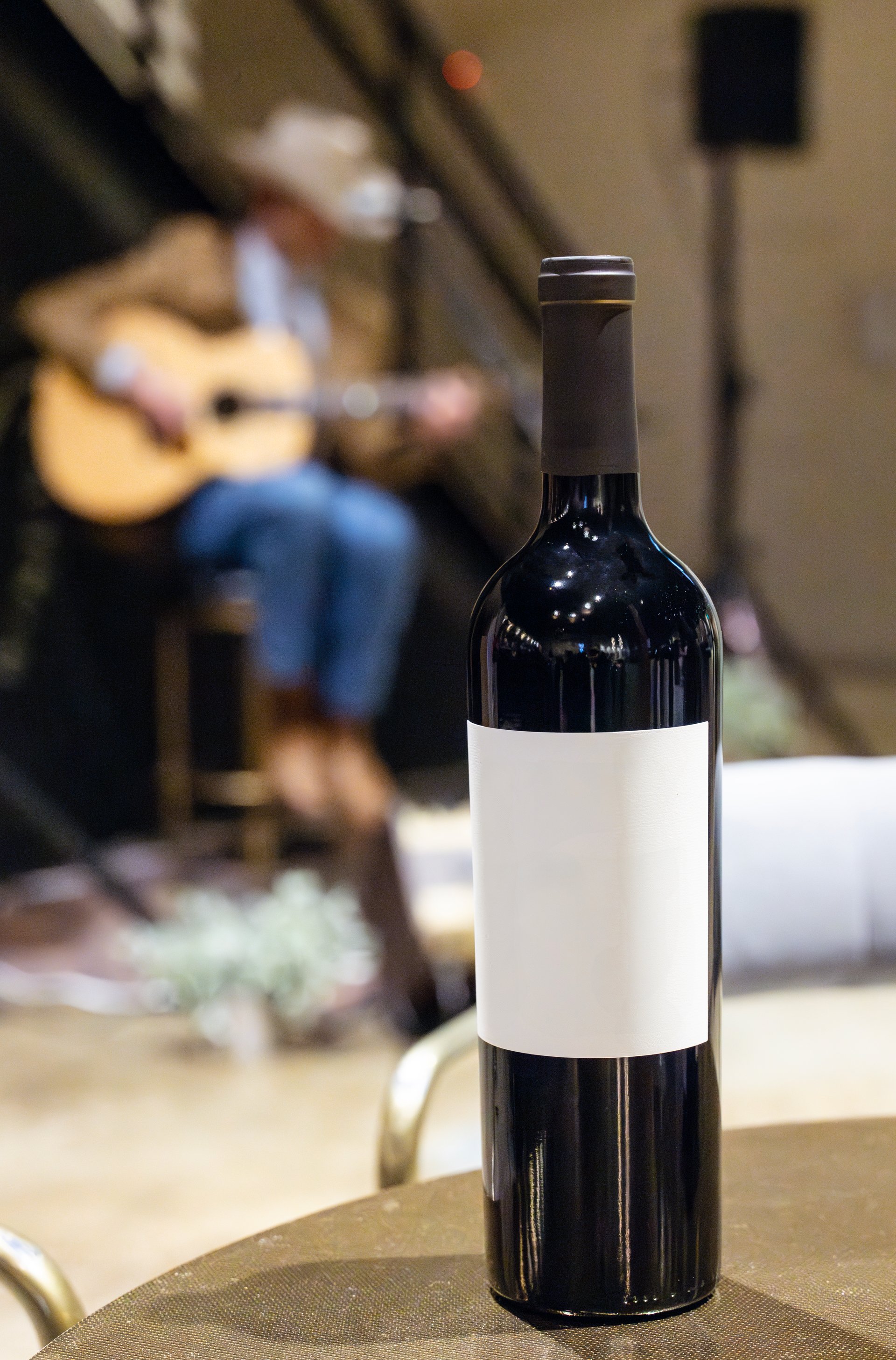 Imagem da artista (substituir depois)