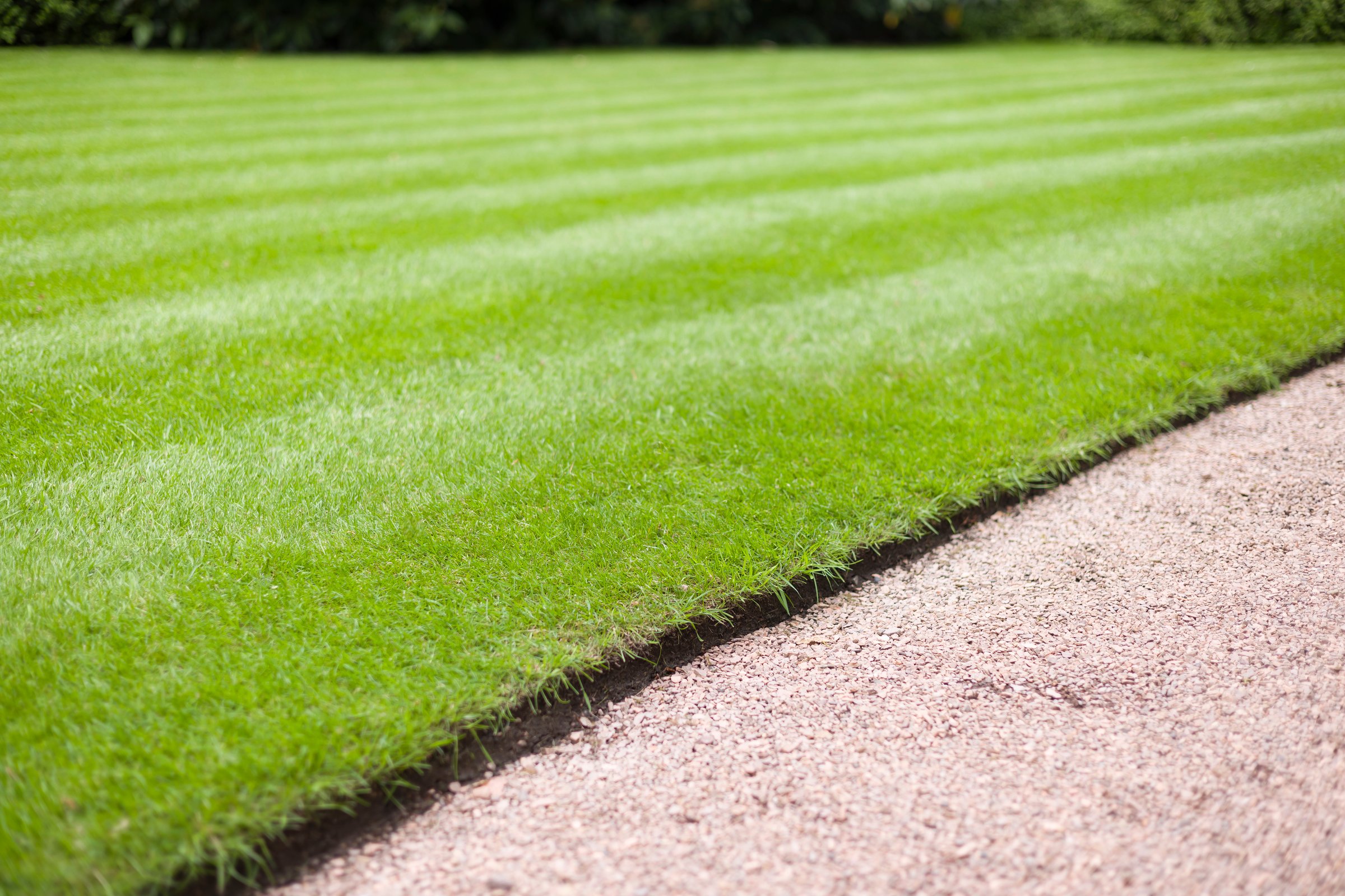 Beautiful, manicured lawn and garden path in a UK park or garden