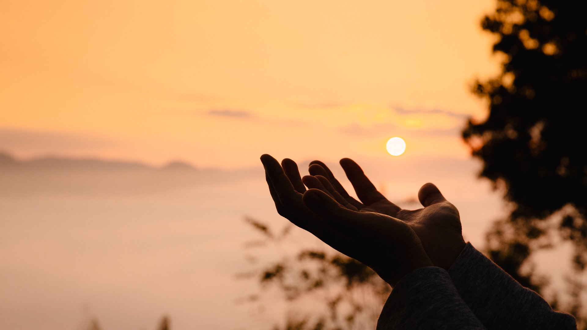 Woman in silhouette, worship in prayer at sunrise with sun rising in summer sky, embracing her faith amidst beauty of nature. worship, sunrise, woman, silhouette, sky, sun, nature, summer, prayer.