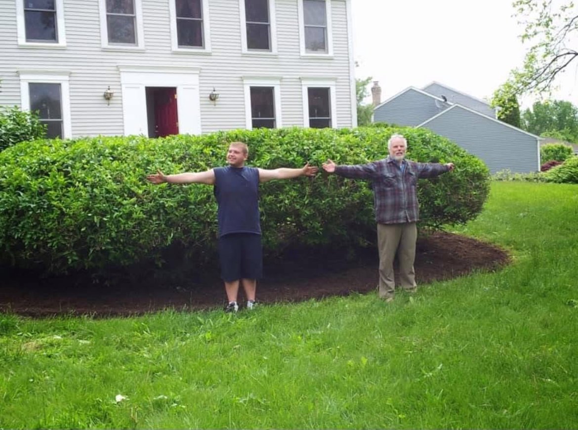 Tree service and landscaping work