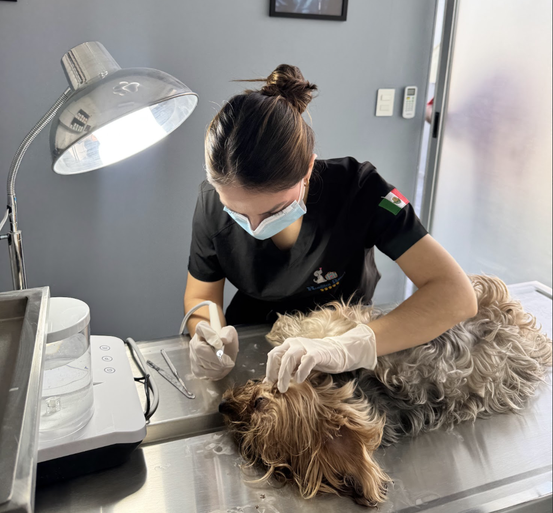 Quirófano Equipado - Huellitas Resort