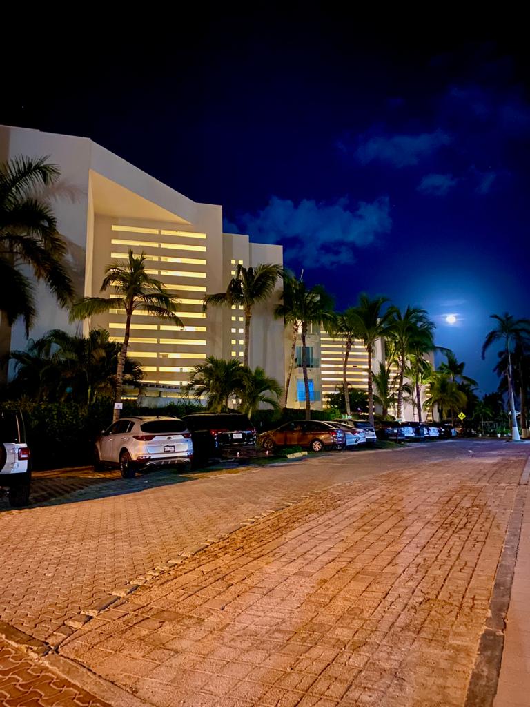 Night view of a lit hotel building with palm trees and parked cars, under a sky with a bright moon.