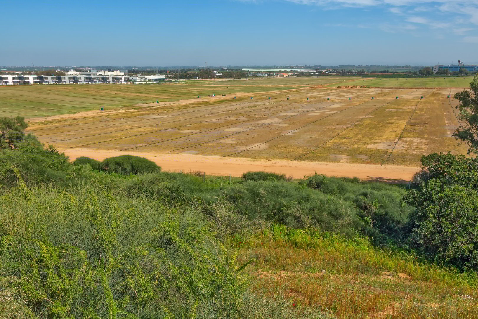 Construction of a residential area in Israel.