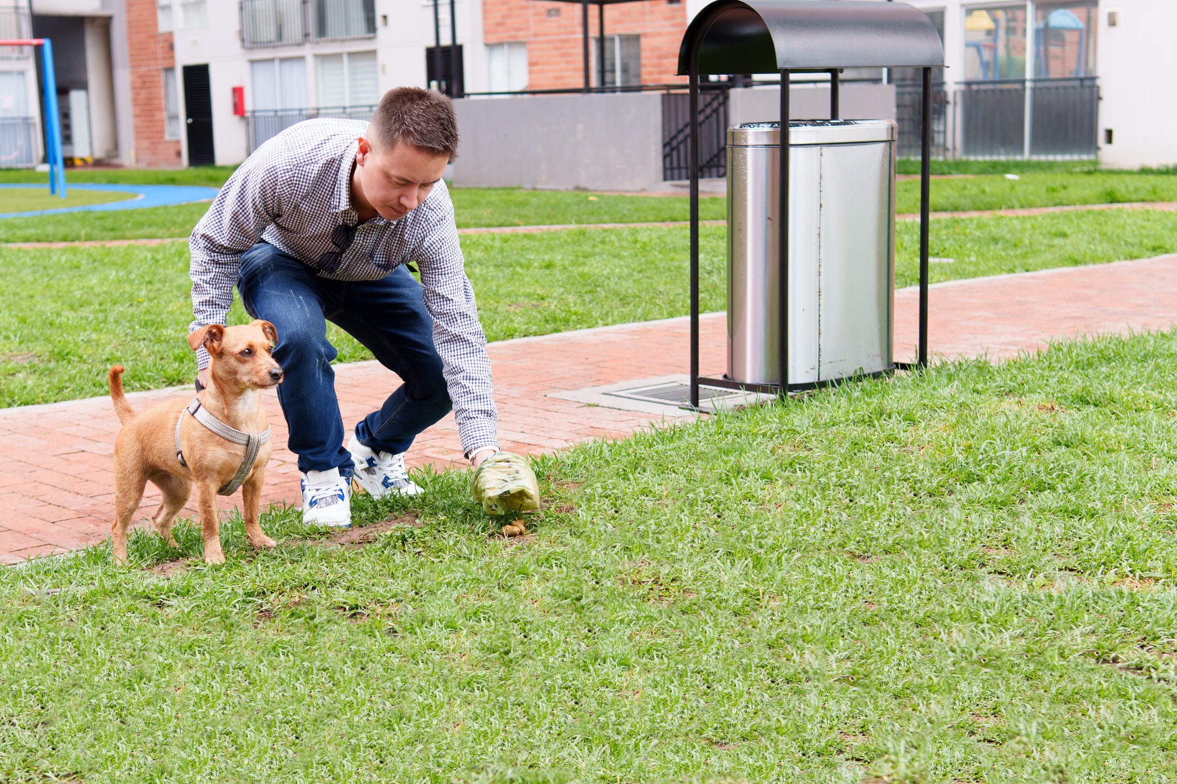 Man picking up dog poop