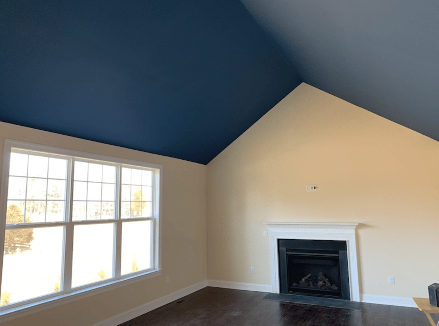 Albert's Painting project