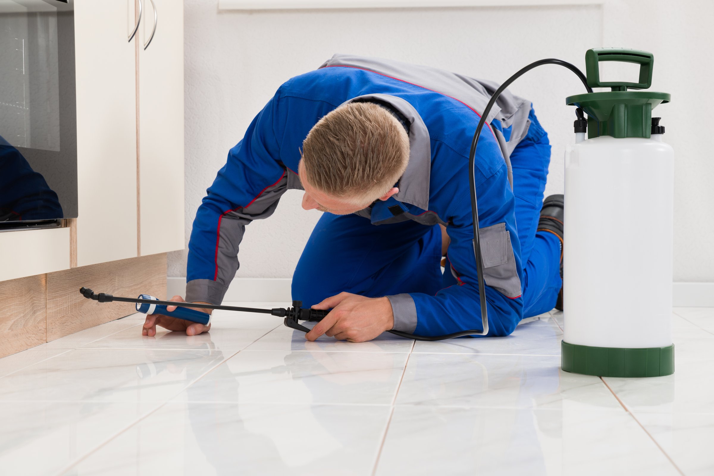 Male Worker Kneeling On Floor And Spraying Pesticide On Wooden Cabinet