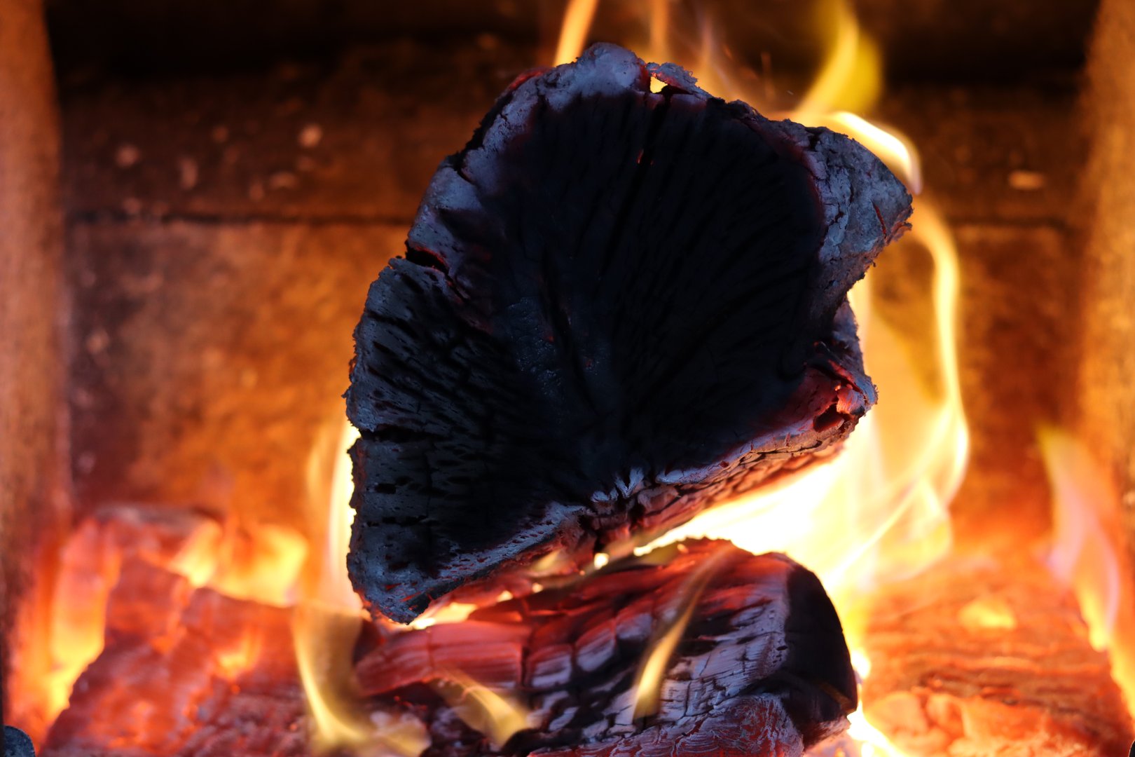 Logs in a wood burning stove