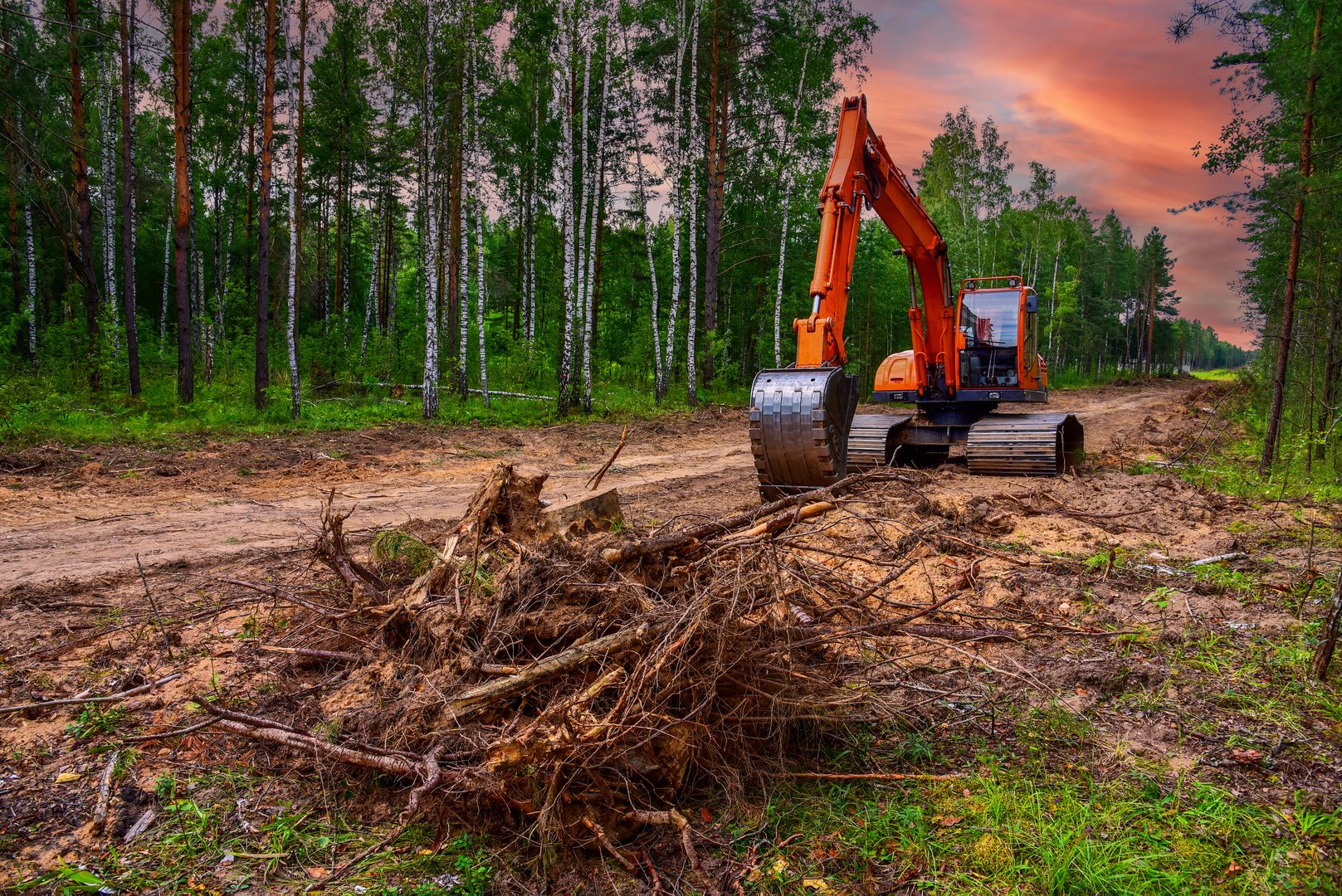Excavator clearing forest for new development. Orange Backhoe modified for forestry work. Tracked heavy power machinery for forest, peat industry. Logging, road construction in forests. Deforestation.