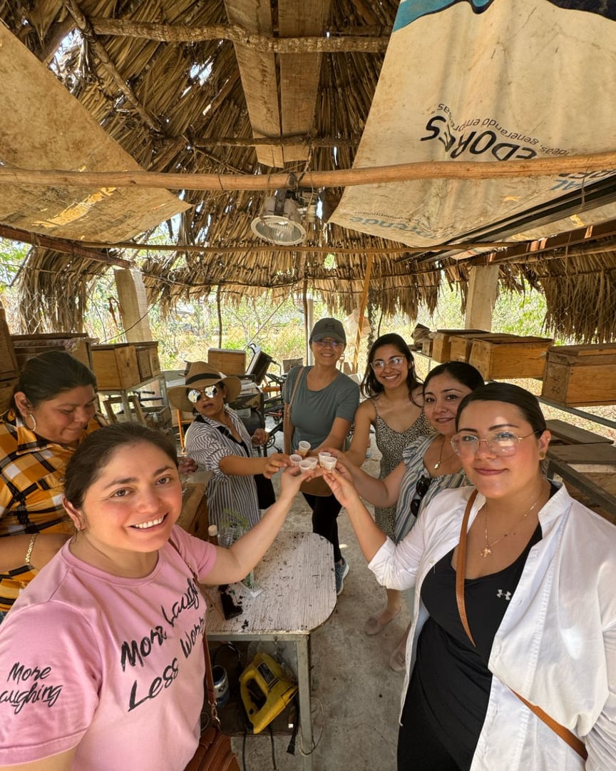 Experiencias para grupos - Mondante