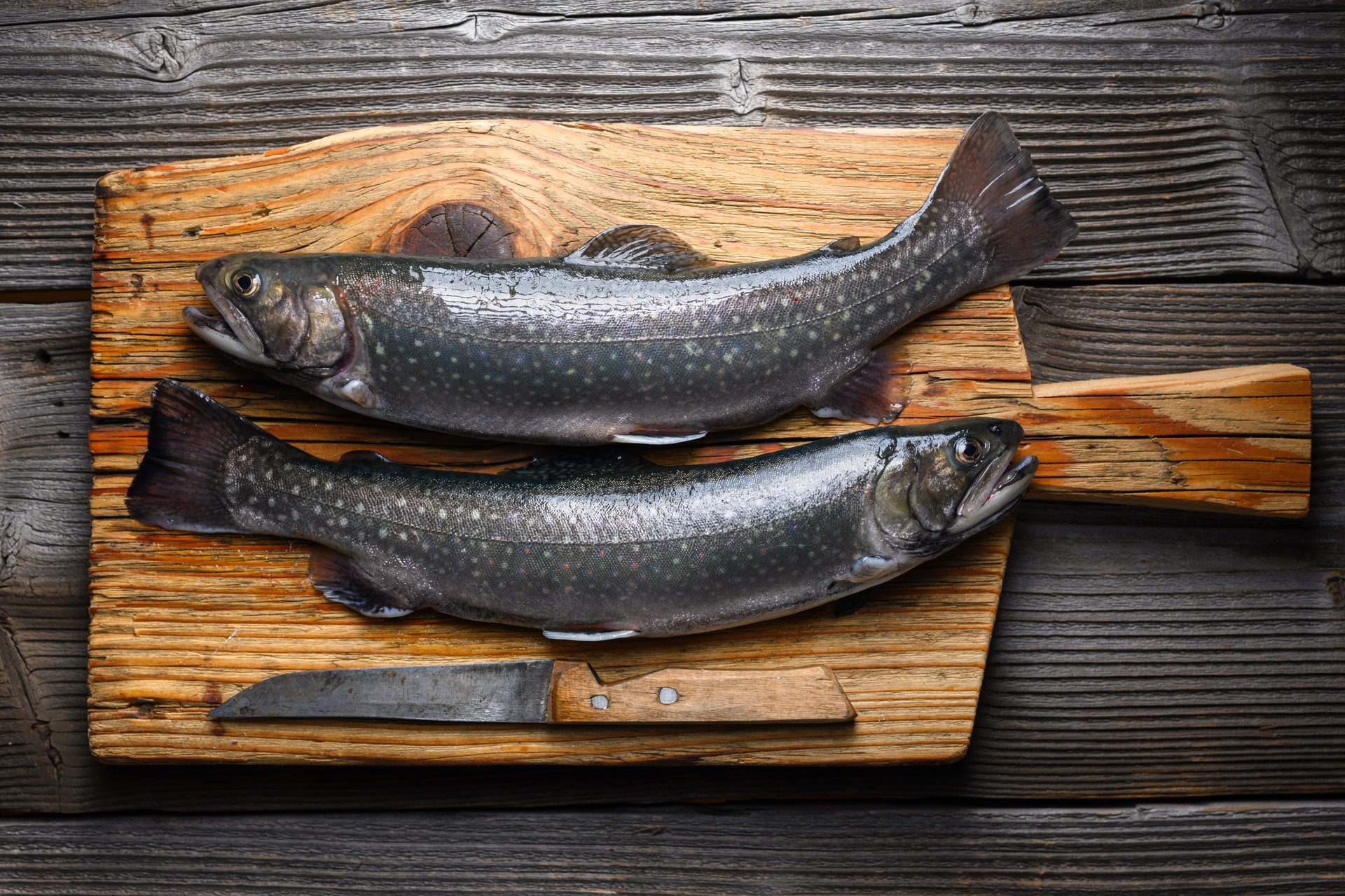 Two arctic char fish on wooden cutting board with knife on rustic table. Freshwater river trout close up. Food photography