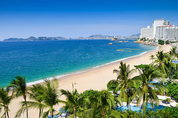 Tropical beach with palm trees, sandy shore, blue ocean, and coastal city skyline under a clear blue sky.