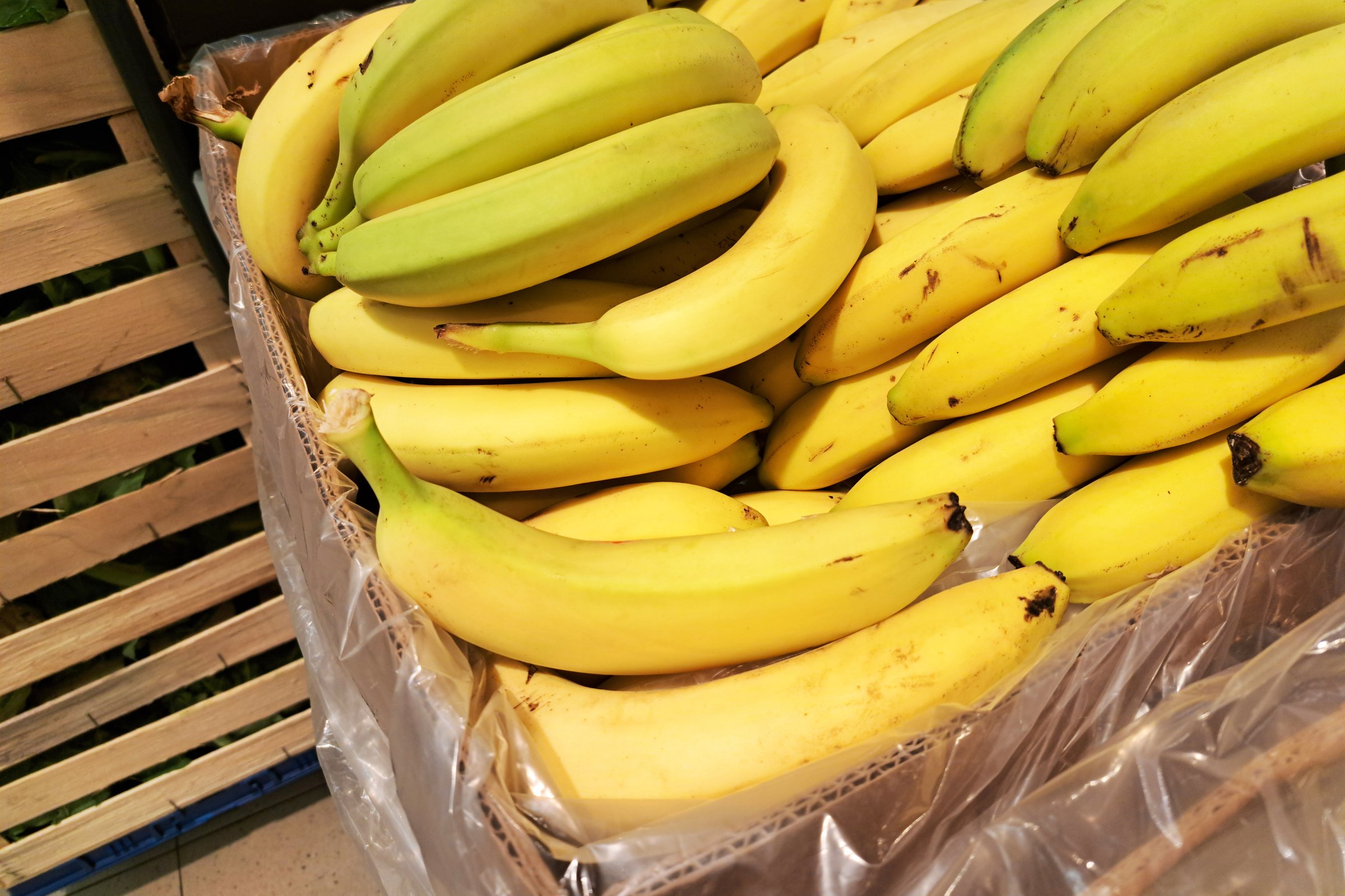 Fresh bananas on display in a grocery store or fruit shop