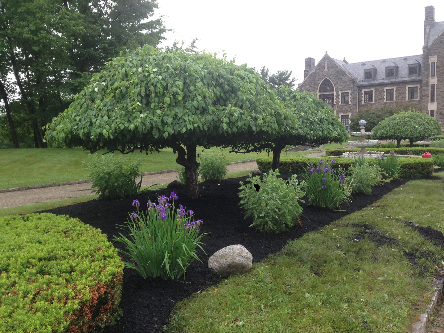 Green Wave Lawn & Landscape