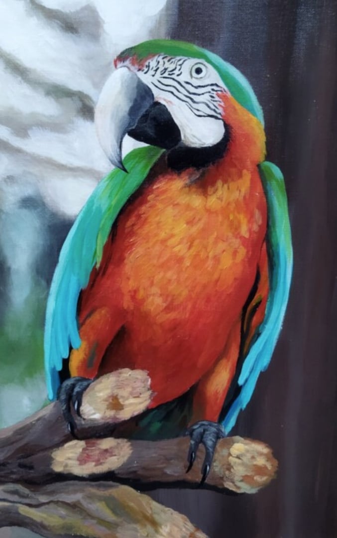 Parrot