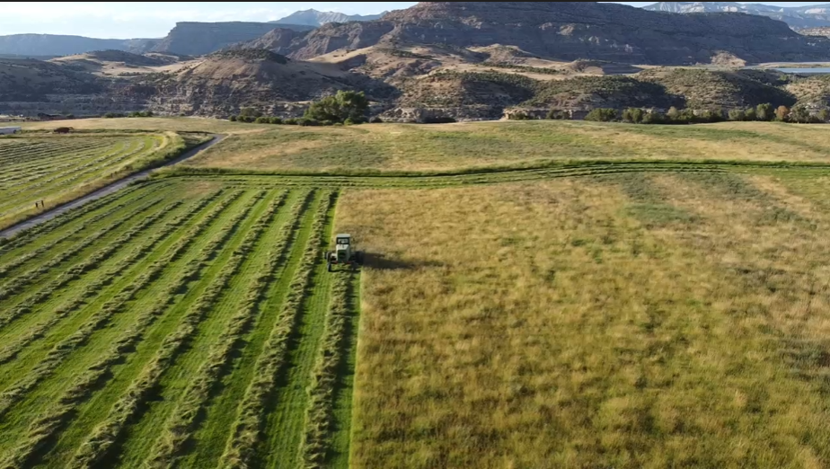 Molina agricultural community and ranch lands