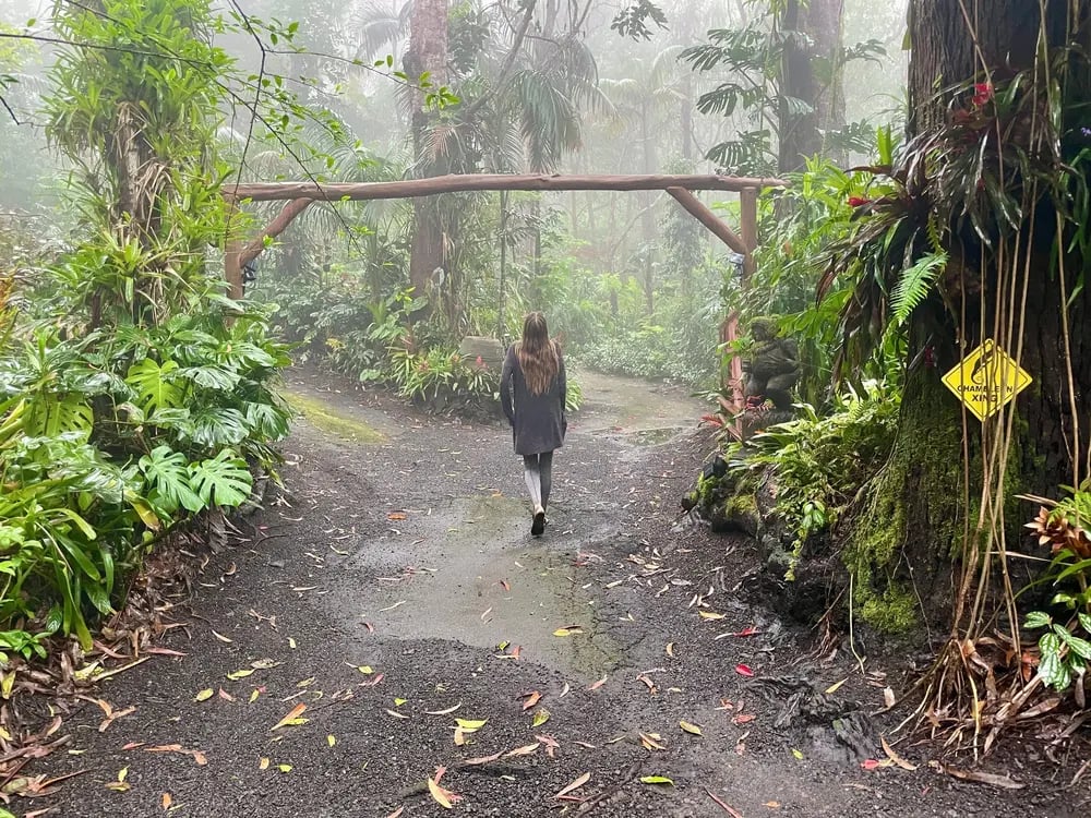 Cloud Forest Tour at Kona Cloud Forest Sanctuary