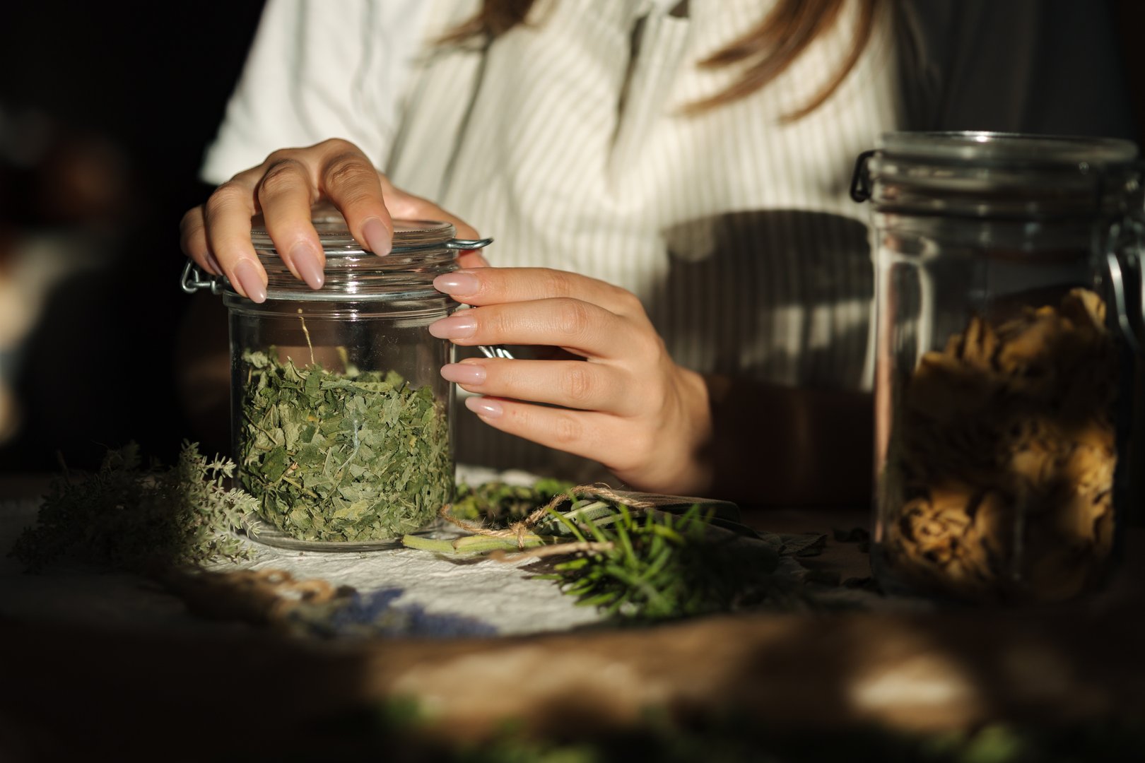 Woman opens a jar of dried mint. Work with herbs. High quality photo