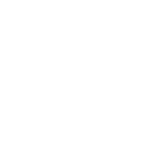 Instituto de Inglés Especializado