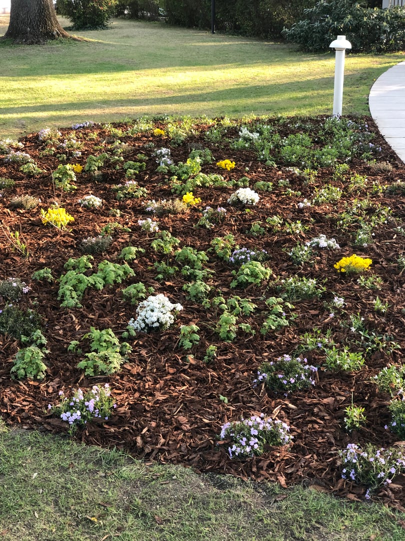 General Gardening Work Detail 6