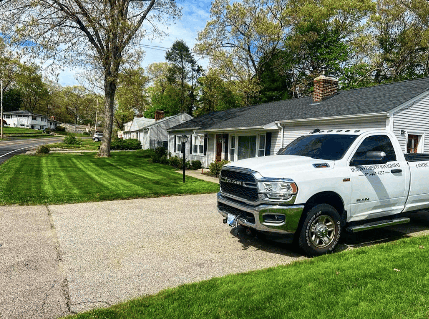 Professional landscaping work