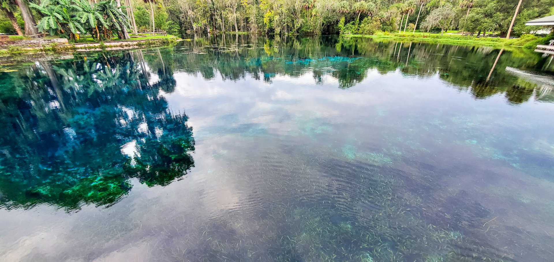 Crystal clear Silver Springs