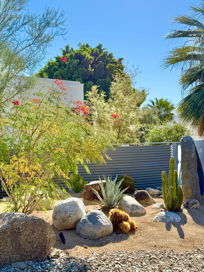 A desert garden with a combination of cactuses and rocks in Palm Springs, California