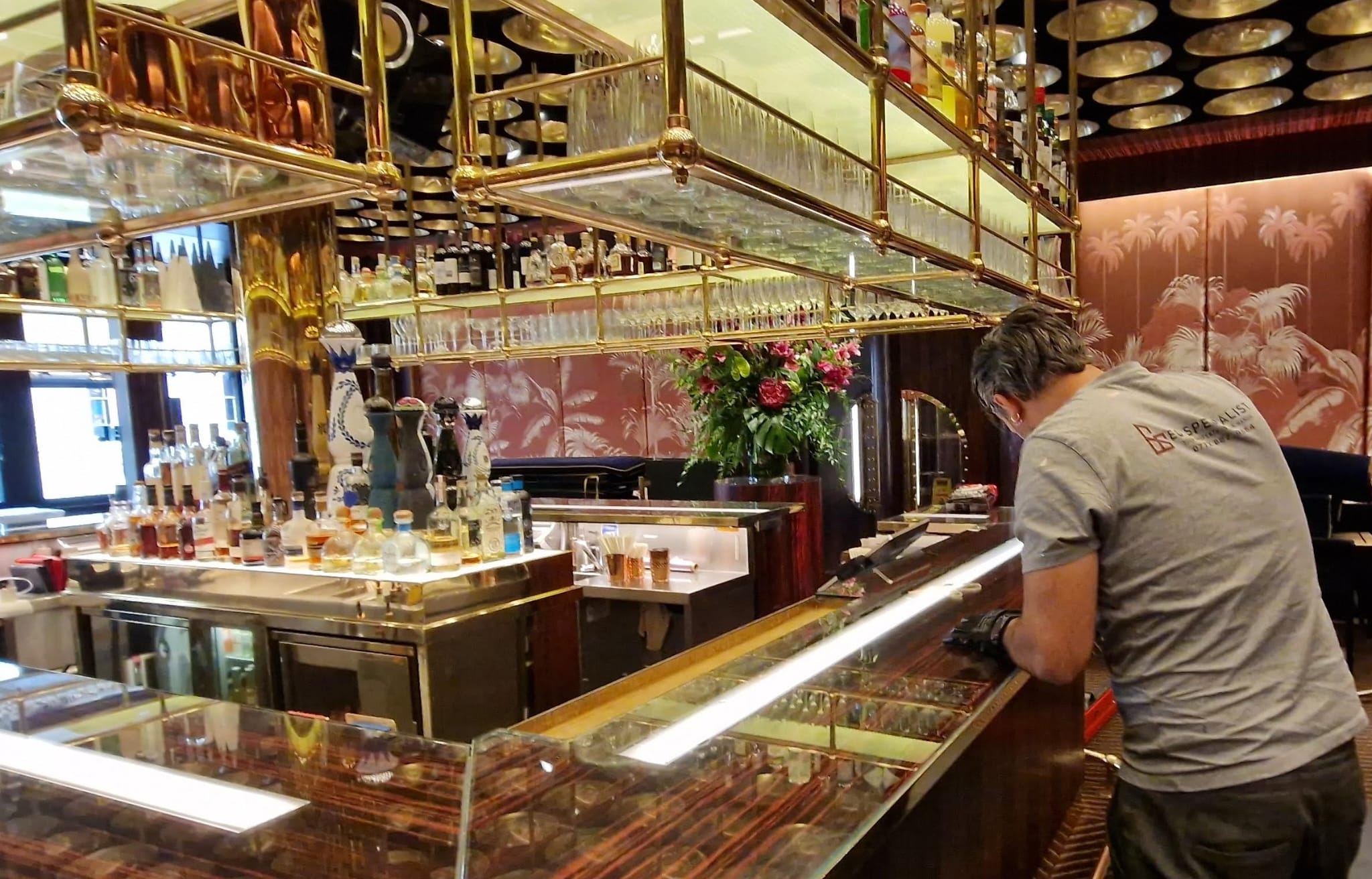 Commercial maintenance professional