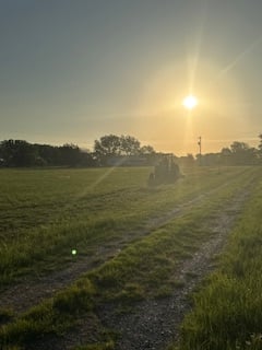 A field at sunset with a gravel path and silhouetted trees in the background, under a clear sky with the sun low on the horizon.