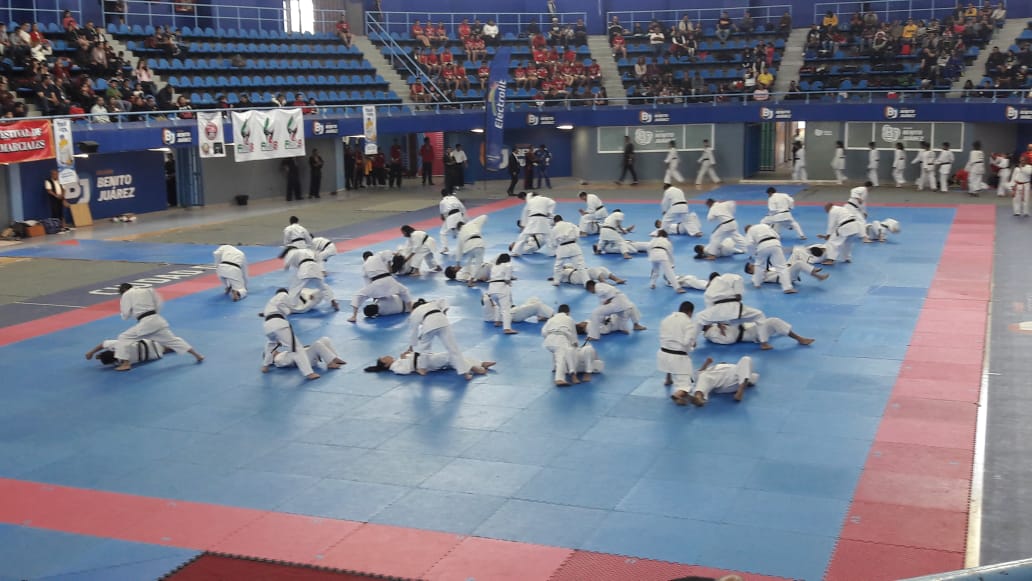 Dojo Image 6