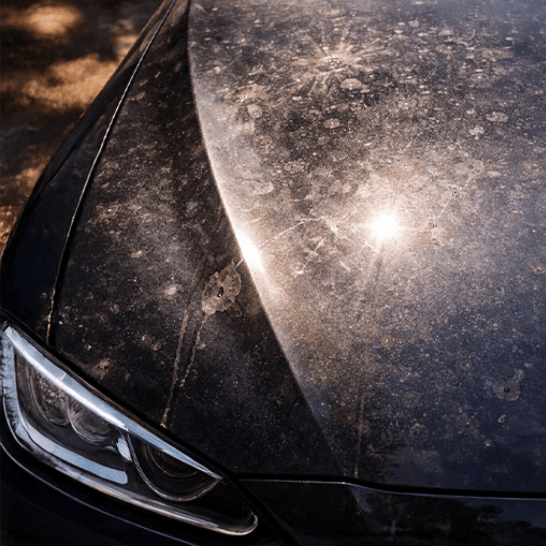 Before 2-step ceramic coating