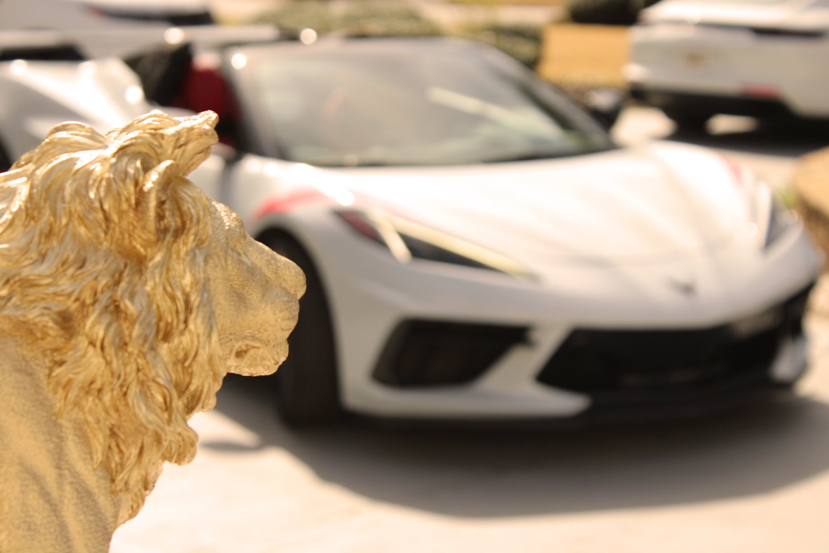 Creme De La Creme Exotics luxury vehicle