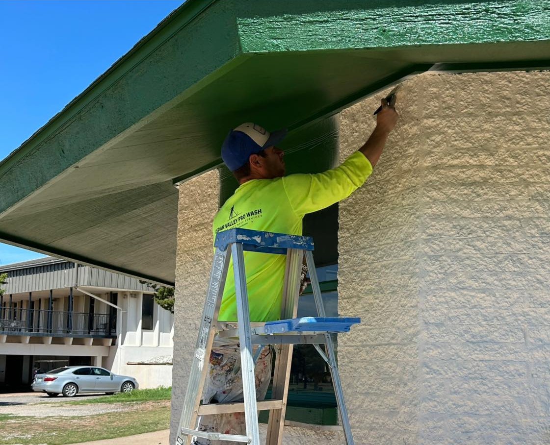 Professional Painting