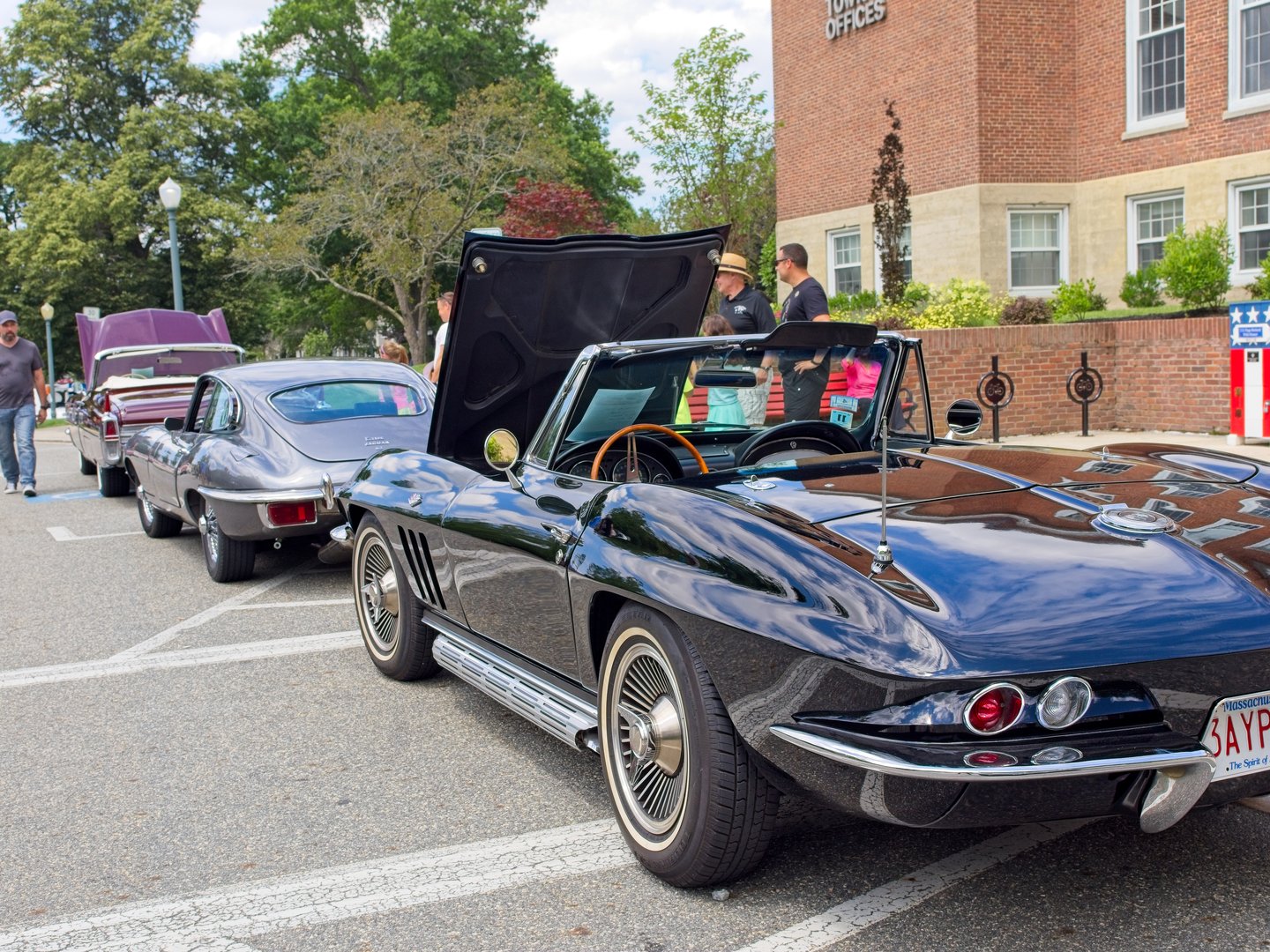 Classic cars lined up at car show
