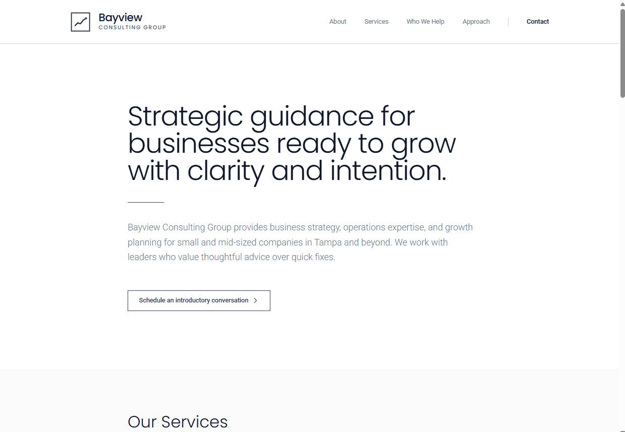 Bayview professional services website example