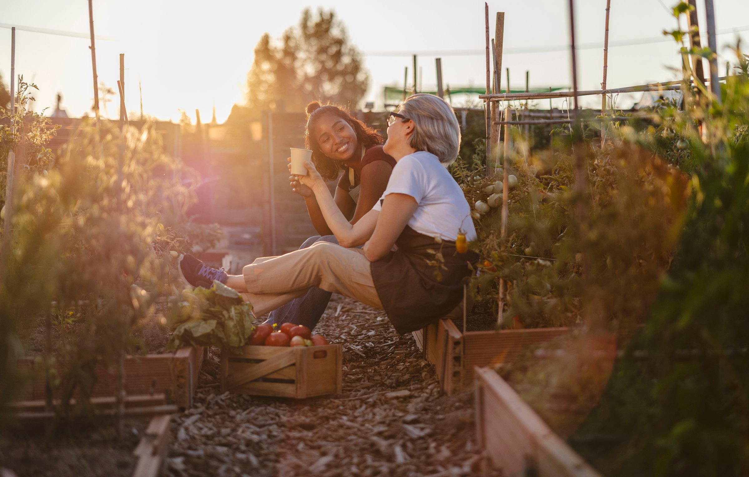 Two multi ethnic female farmers sitting together and smiling while enjoying refreshing drinks at sunset, surrounded by their vibrant vegetable garden filled with fresh produce