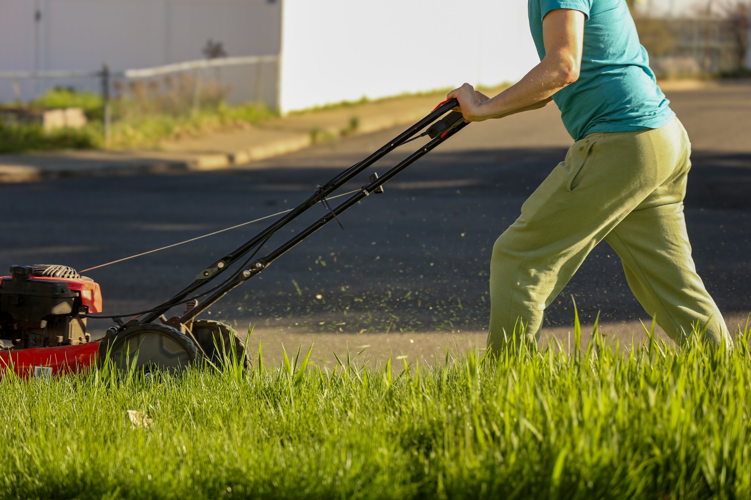 Man pushing a red lawn mower, cutting tall grass on a sunny day in United States, Washington, Cheney