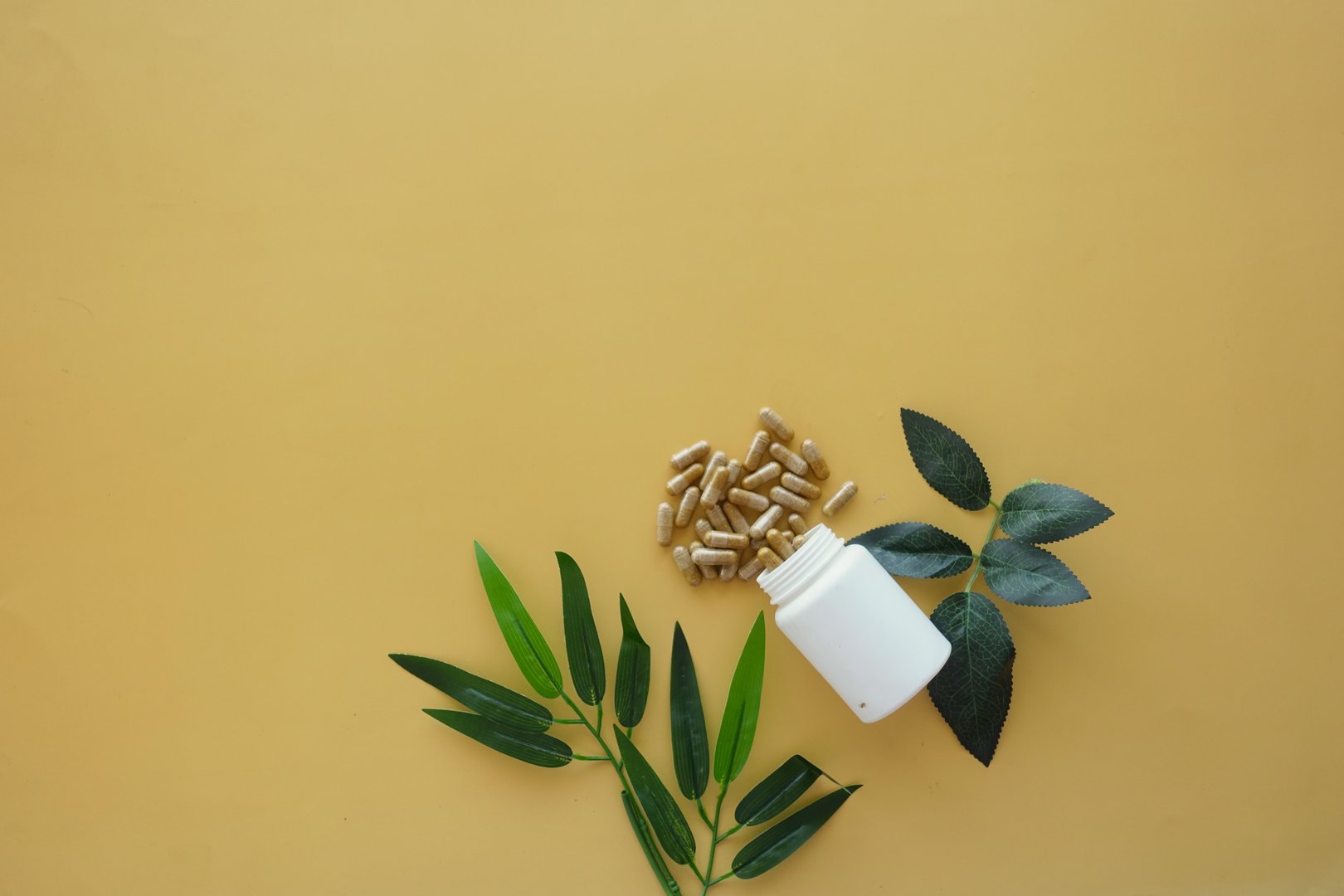 These organic capsules are beautifully displayed with fresh greenery on a vibrant yellow surface