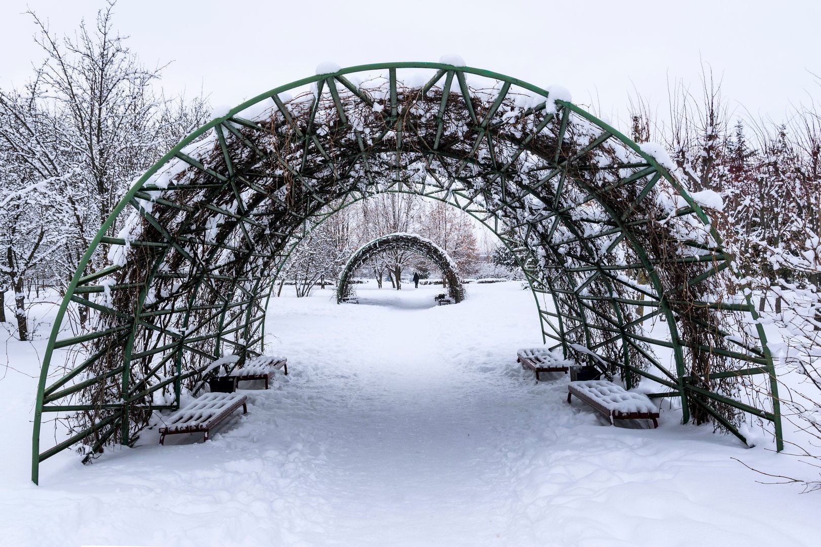Arch made of metal rods for climbing plants in a city park in a snowy winter