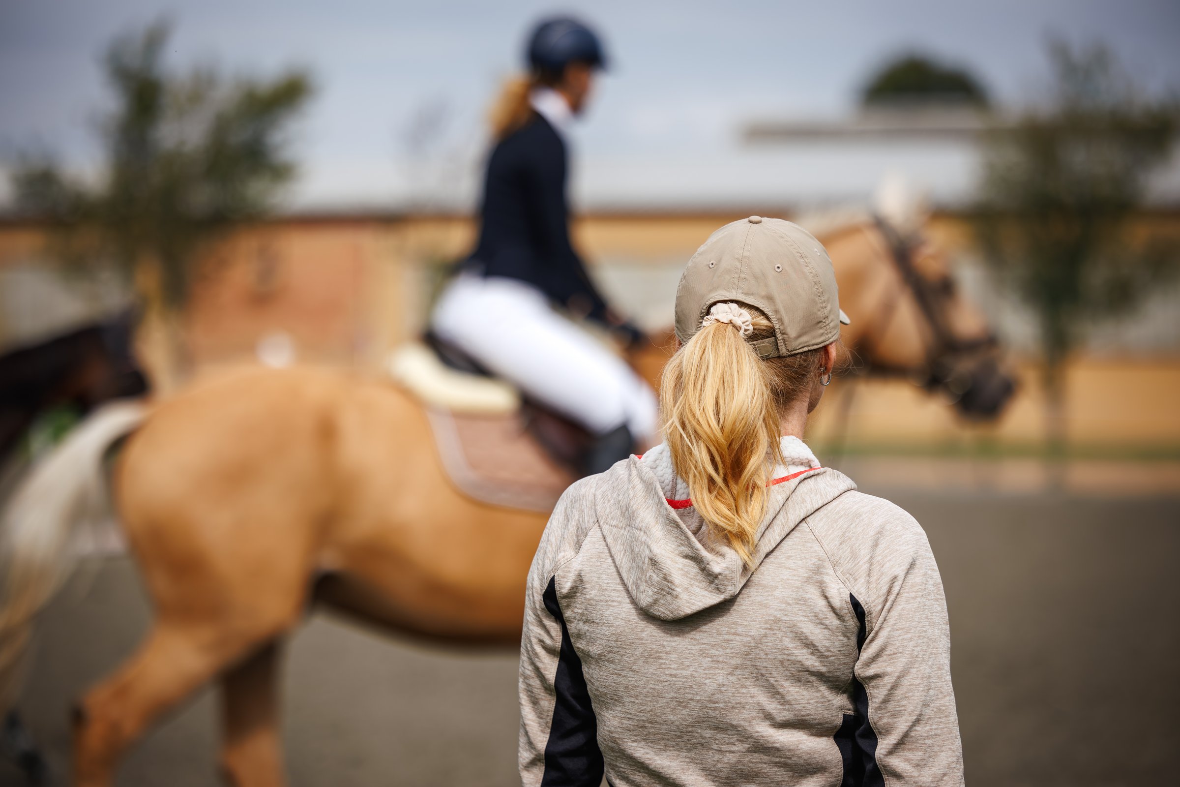 Arena riding lesson