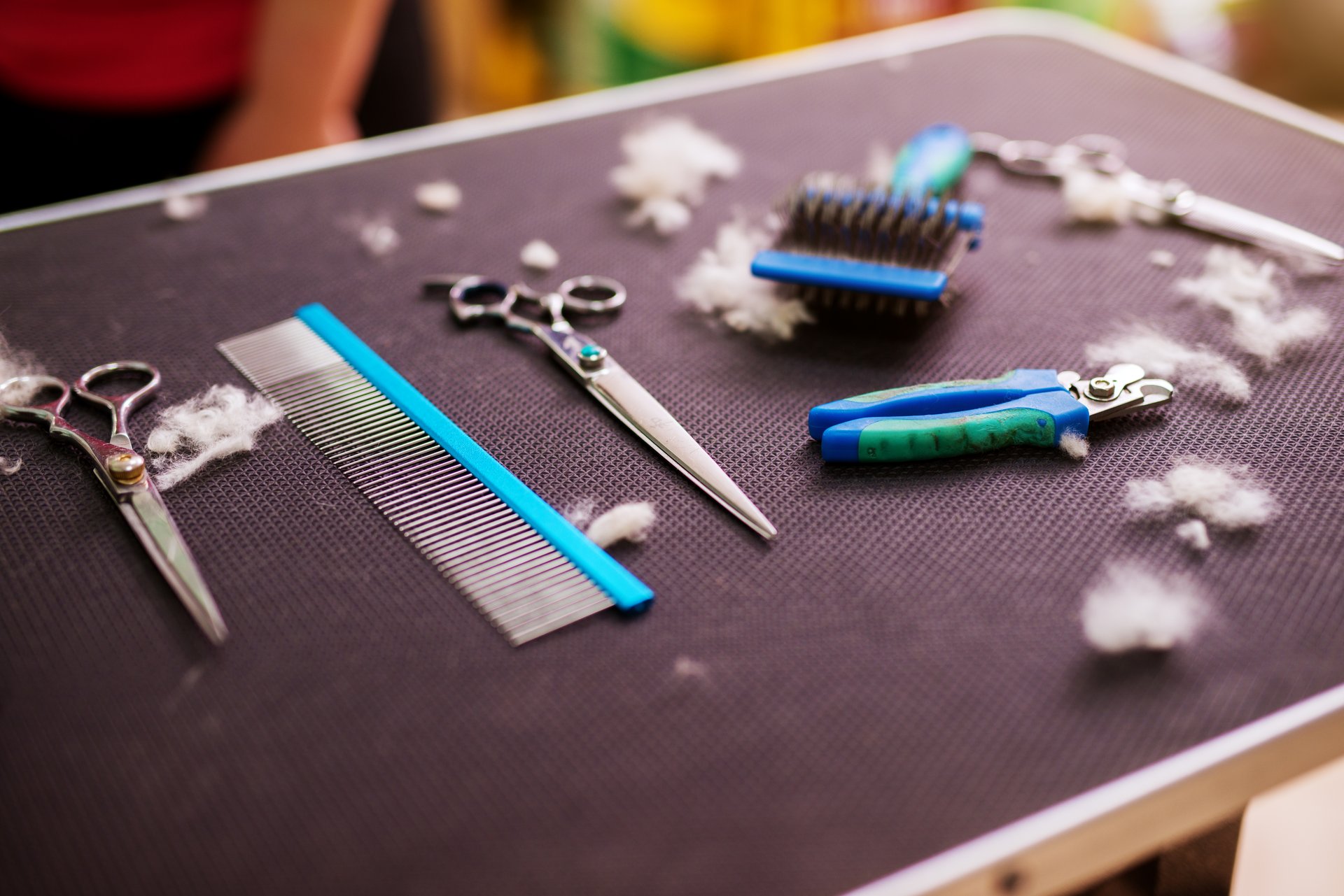 Professional Pet Grooming Supplies